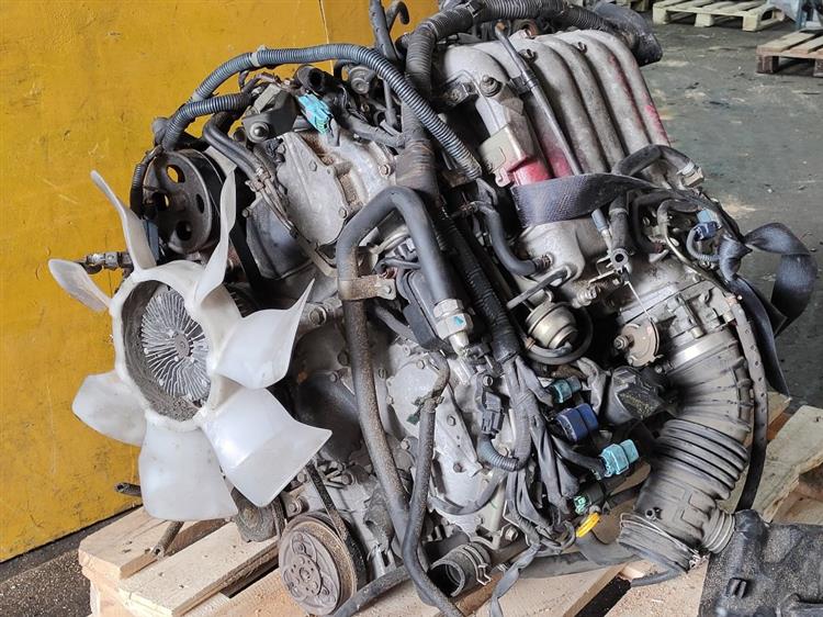Двигатель Ниссан Эльгранд в Буденновске 51254