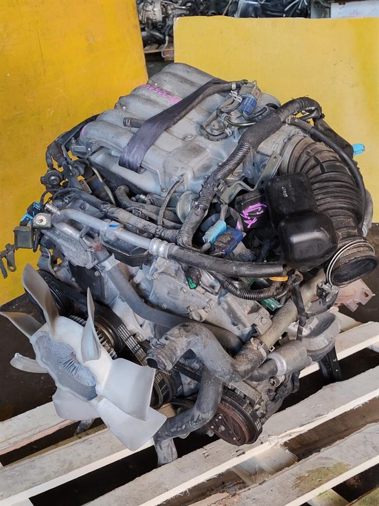 Двигатель Ниссан Эльгранд в Буденновске 51266