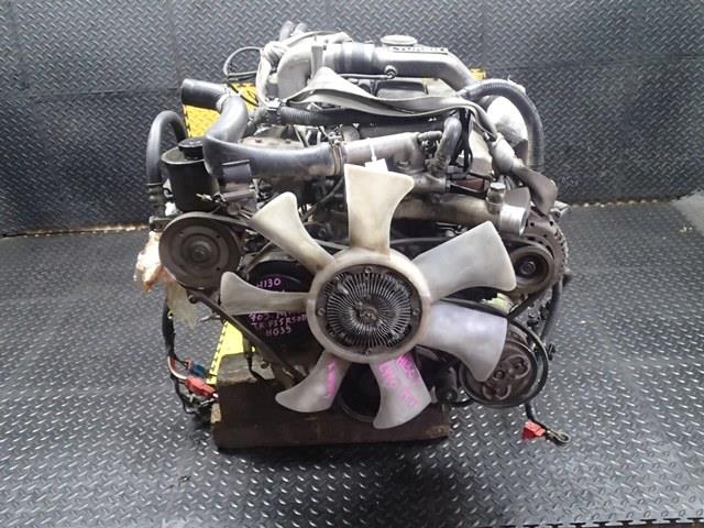 Двигатель Ниссан Сафари в Буденновске 95493